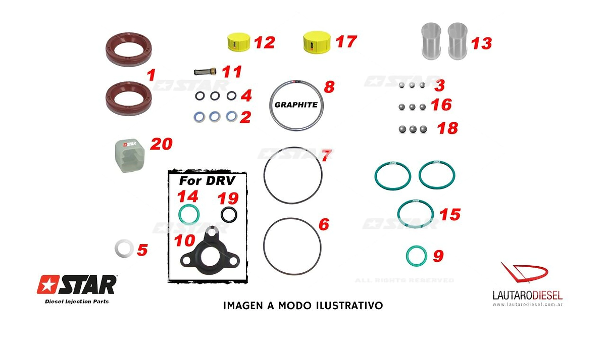 Star Diesel juego de juntas para bomba Bosch con retenes T60096/40 KIT JUNTAS CP1H 0445010157 0445010122 0445010293 0445010129 0445010293 dos retenes bolillas filtro etc