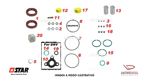 Star Diesel juego de juntas para bomba Bosch con retenes T60096/40 KIT JUNTAS CP1H 0445010157 0445010122 0445010293 0445010129 0445010293 dos retenes bolillas filtro etc