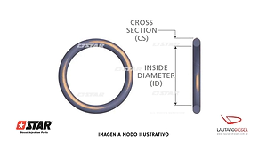 Star oring de registro de combusitble bomba VE M5X2