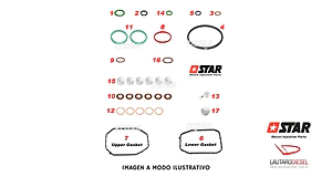 Star diesel kit reparacion para bomba inyectora VE con EDC, hay Bosch tambien