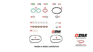 Star diesel kit reparacion para bomba inyectora VE con EDC