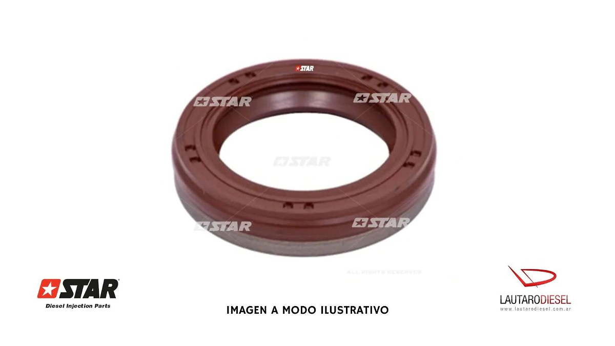 Star reten eje bomba VE 20mm bomba BH VE Zexel 20X31X7,3 T31936, Spaco 11812 y hay Bosch