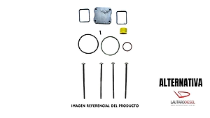 Alternativa Turca para Bosch Reparacion PLD monobomba 0414799005 con tornillos y orings (sin chapa cuadrada), hay con chapa cuadrada nro 23195 y hay Star