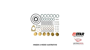 Star diesel kit juntas bomba inyectora serie P 7100-7800  07635 con dos retenes , hay Bosch y Engine Pro tambien