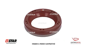 Star reten eje para bomba CP4 VP44 VRZ  (0445010115 usa dos retenes esta bomba tambien el F00N202337)