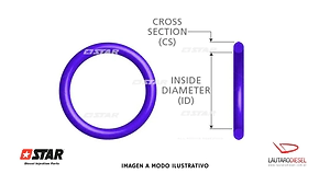 Star oring exterior injector bomba Iveco Volvo