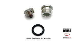Denso kit para cabezal denso de bomba HP3 HP4 valvula aspiracion 2940090940, valvula + oring + tapon torx ND2940090940 Robiel 410.20.048 41020048