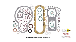 Spaco Kit de juntas bomba lineal serie P 1000, Star 31473/05