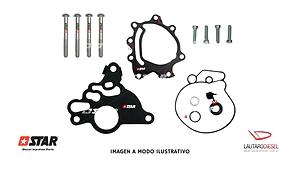 Star diesel kit reparacion bomba tandem 2,0 cc F009D02804 F00D00069 03G145209C 03G145209A 03G145209D con reten de 11mm