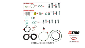 Star diesel kit reparacion completo bomba 0445010115 completo con los 2 retenes, 3 esferas