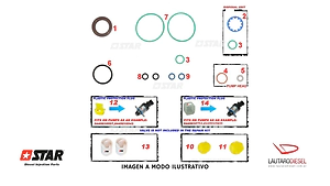 Star Diesel juego de juntas completo incluye reten eje para bomba 0445010704 0445010546 0445010508 0445010546 0445010543 0445010580 0445010506 0445010507