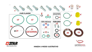 Star Siemens Kit reparacion completo con reten para bomba Nissan Frontier NP300 Alaskan A2C80584700 A2C97864000