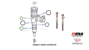 Star diesel Kit orings para inyector 03G130073S 03G130073D = SX = DX Passat 60098/30 incluyes tornillos de fijacion